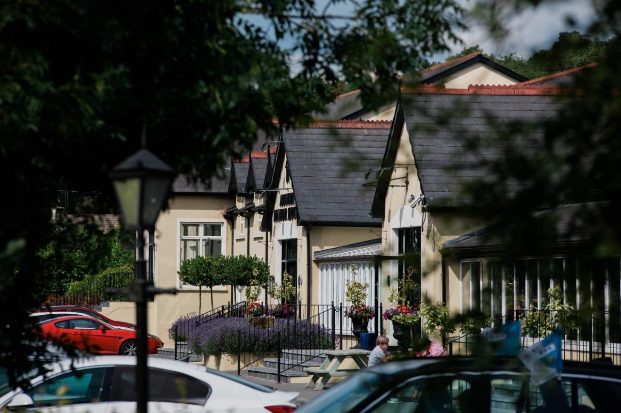 The Abbeyleix Manor Hotel Eksteriør billede